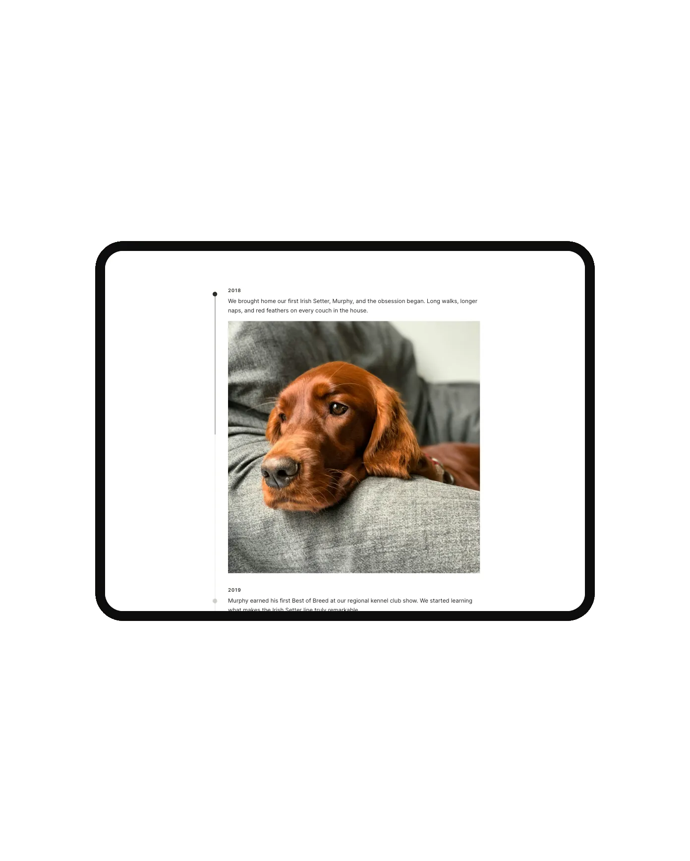 Vertical Timeline plugin for Squarespace – classic rail layout in light mode, shown on an iPad mockup